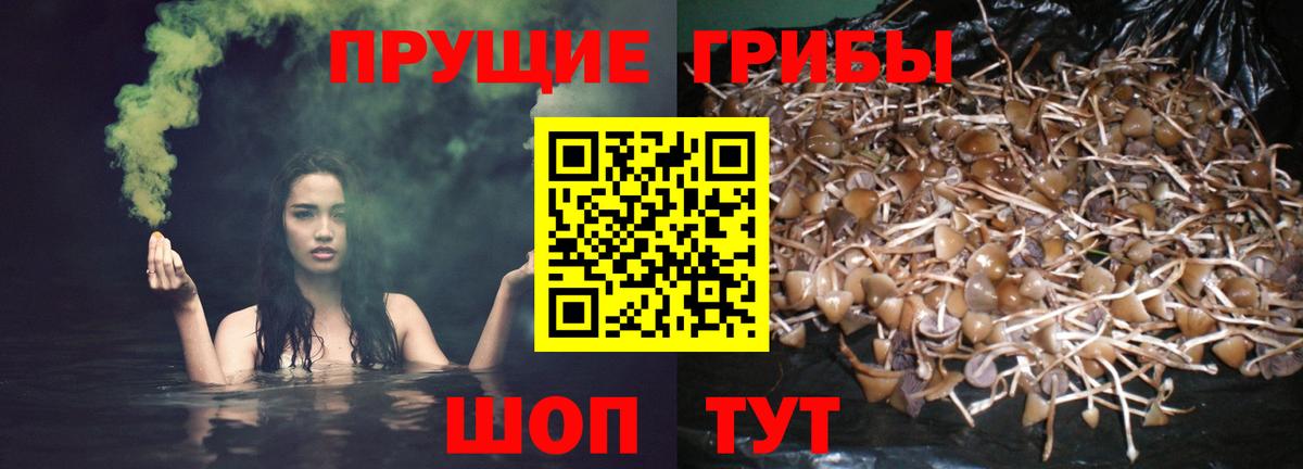 Псилоцибиновые грибы мухоморы  Вход с VPN  Псилоцибиновые грибы MAGIC MUSHROOMS  Краснотурьинск 